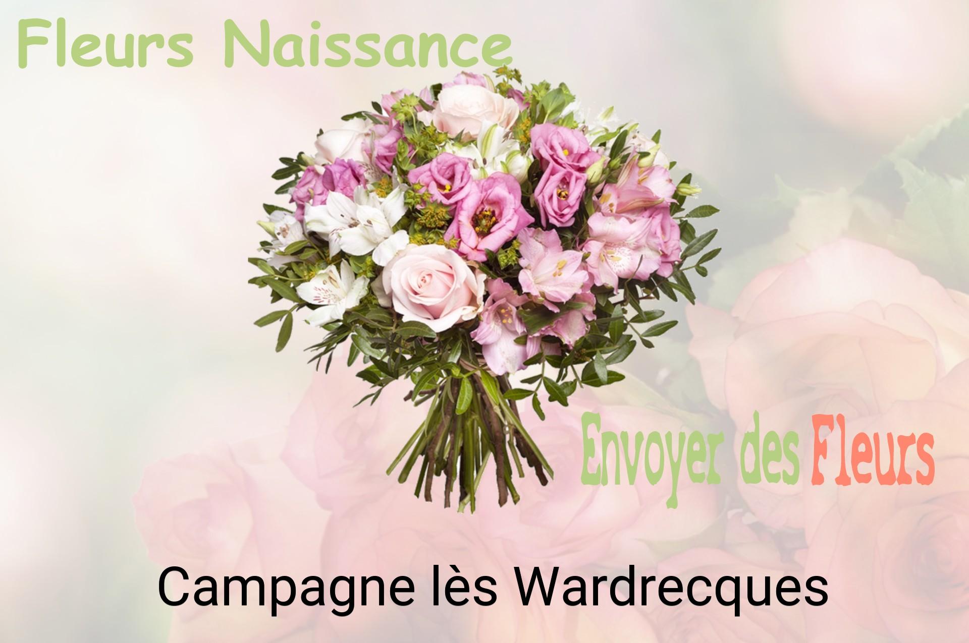 Bouquet de fleurs de naissance livré à Campagne-lès-Wardrecques